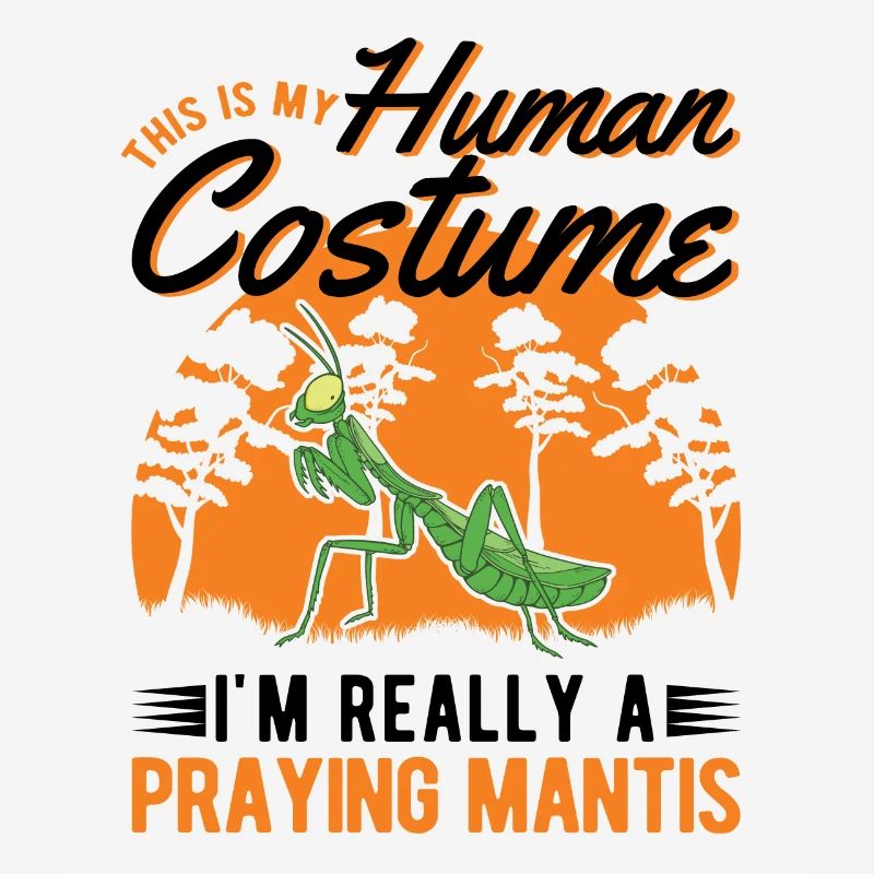 Praying Mantis Mantis Mantis Mantis