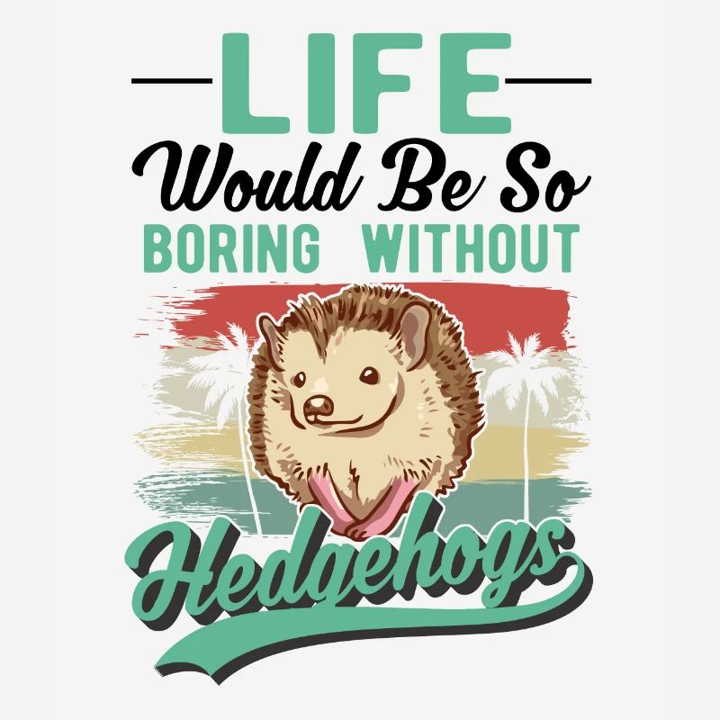 Hedgehog Gift Spiny Hedgehog