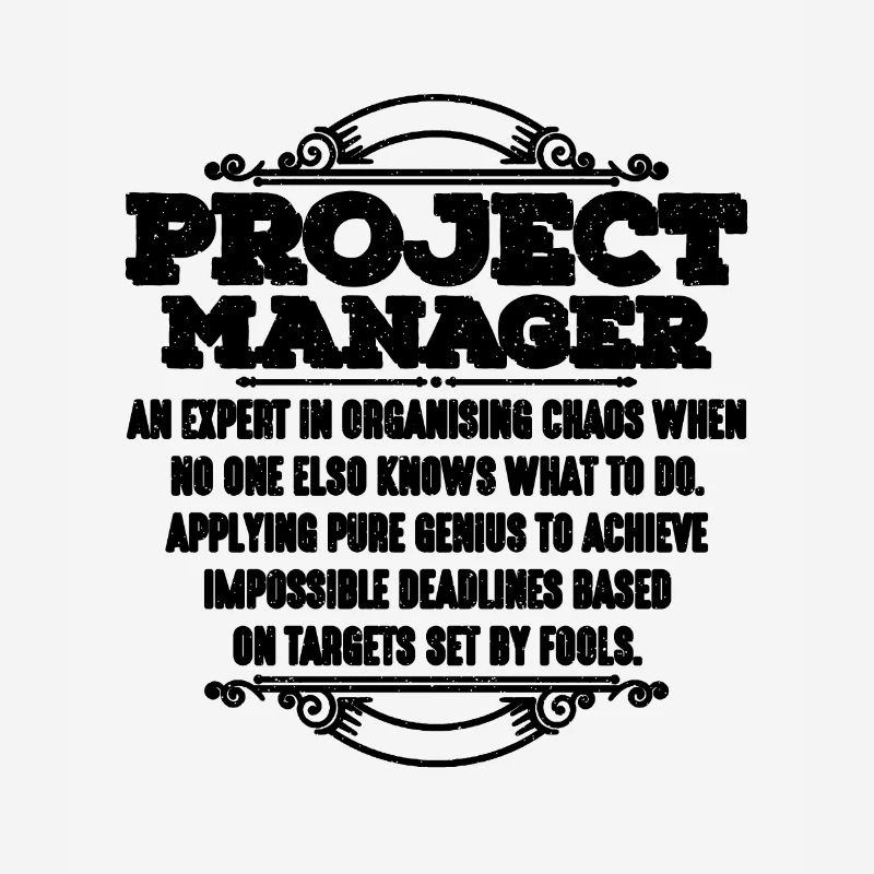 Chef de projet Un expert en chef d’équipe de projet
