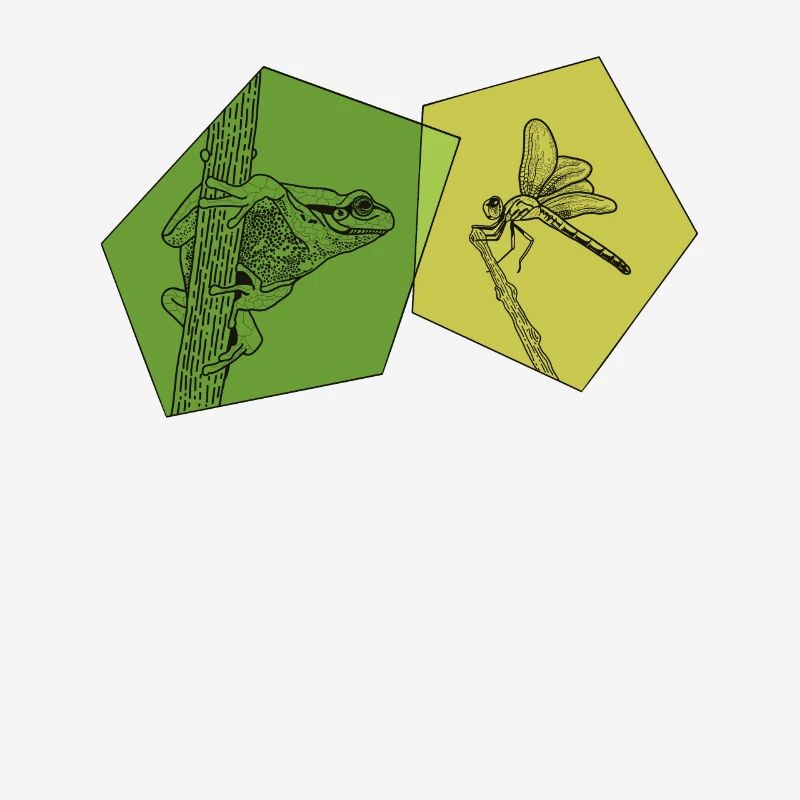 Toad, tadpole, tree frog, frog breeder, frog