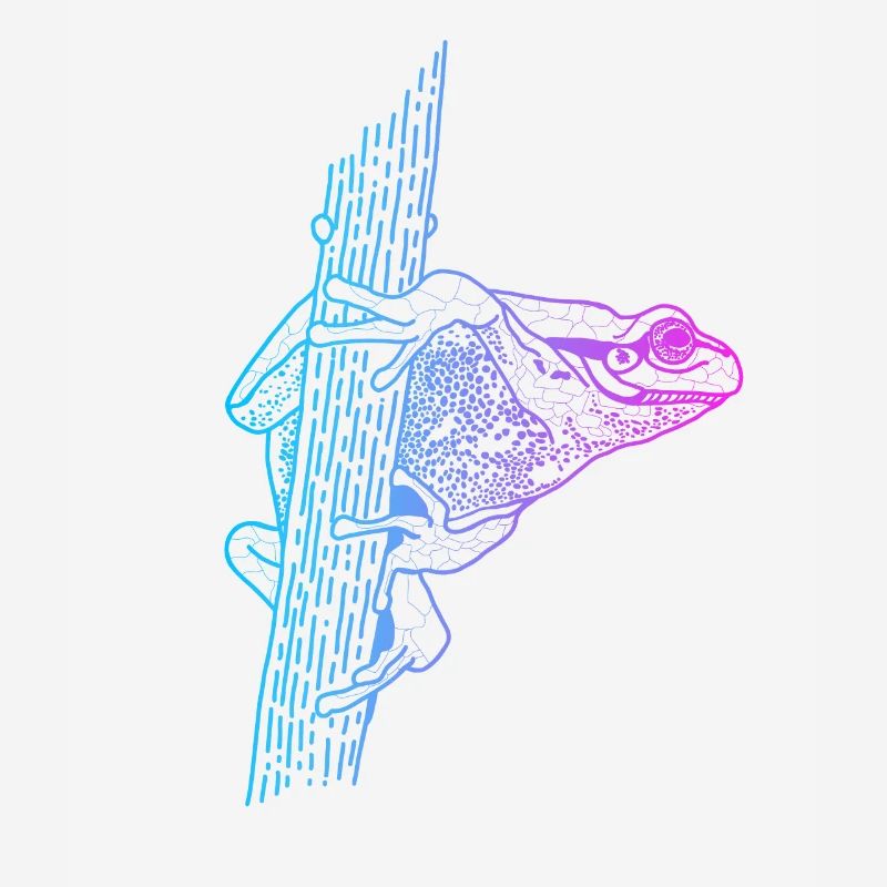 Tree Frog Toad Tadpole Frog Breeder Frog