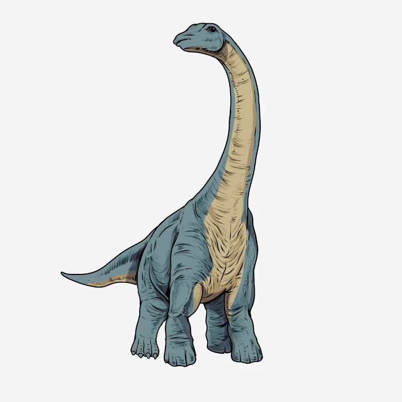 Dessin de l’Apatosaurus