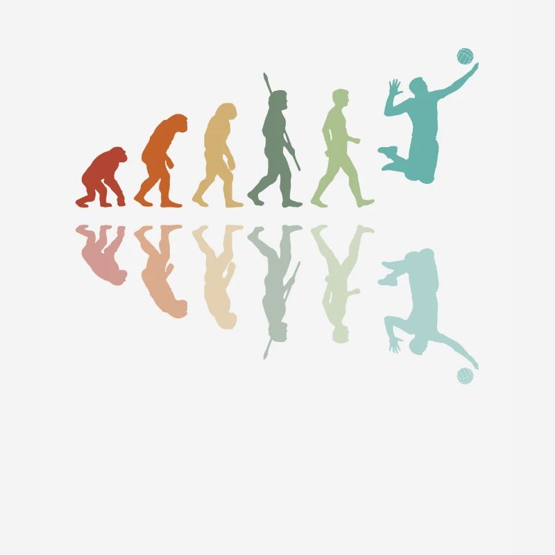 Volleyball Evolution