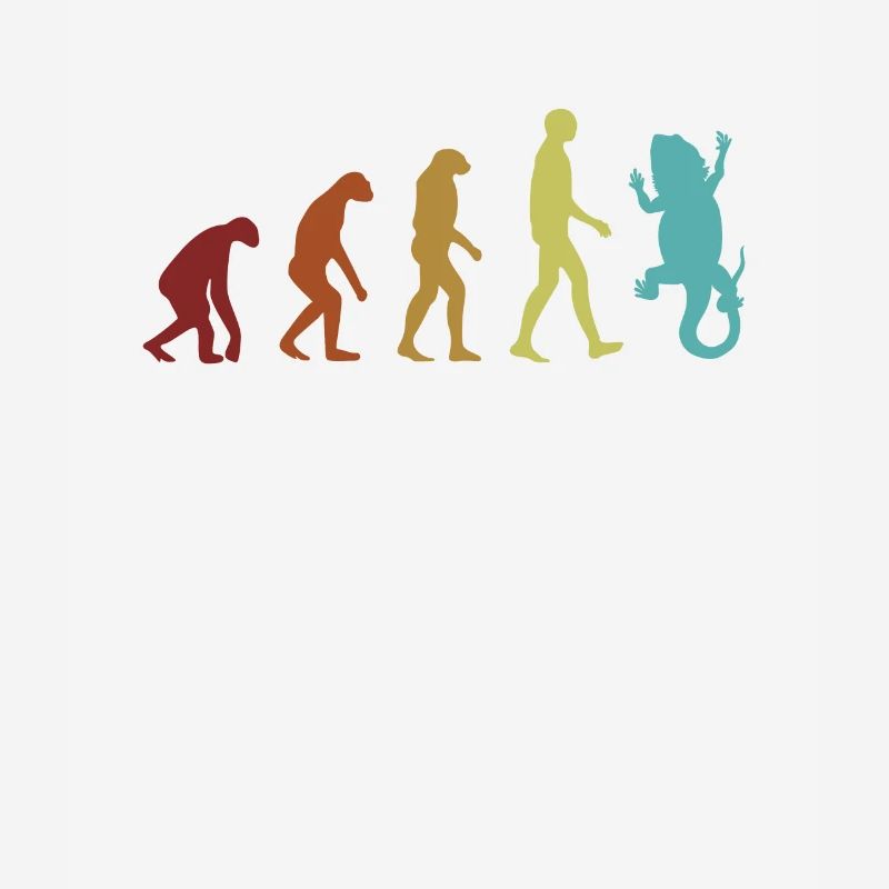 Bartagamen Evolution Pogona Haustier-Eidechse