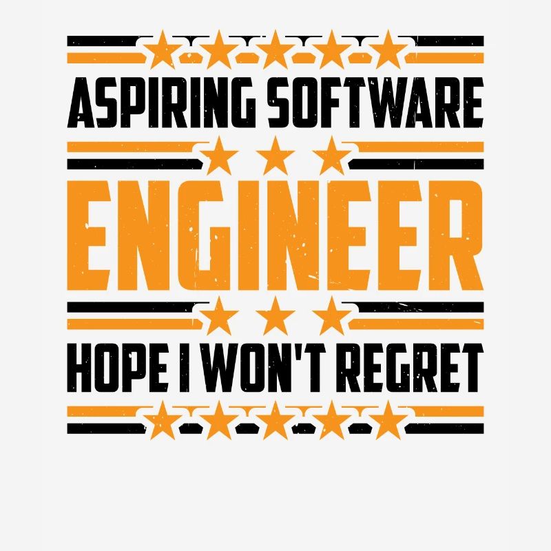 Aspiring Software Engineer, Hope I Won't Regret 3