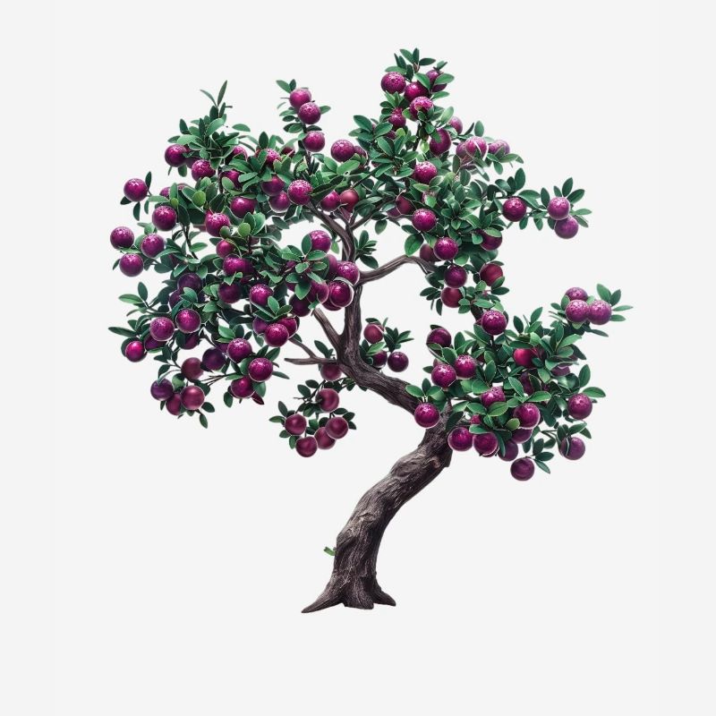 Lebendiger Baum mit Lila Früchten