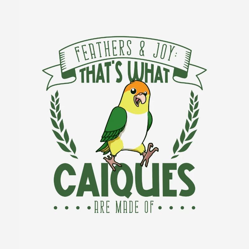 Feathers and Joy - Perroquet à ventre blanc