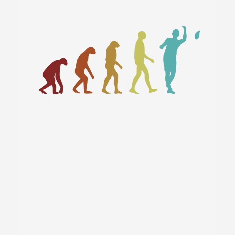 Cornhole Evolution Planches Sac de haricots Jeu Cornhole