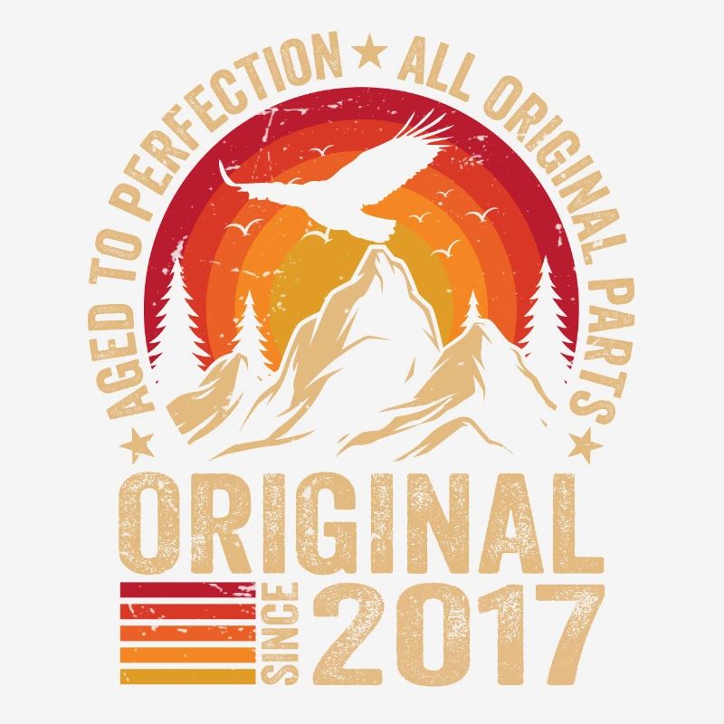 Original 2017 Vintage 2017 Anniversary 2017 Retro