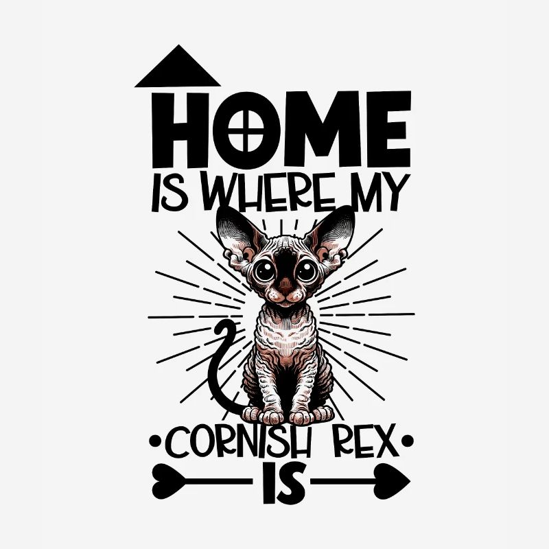Accueil - Cornish Rex