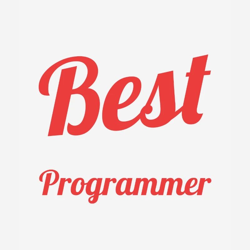 Software Developer Son