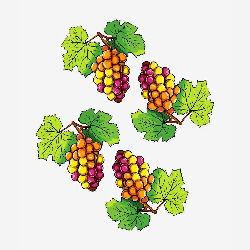 Grapes Fruit