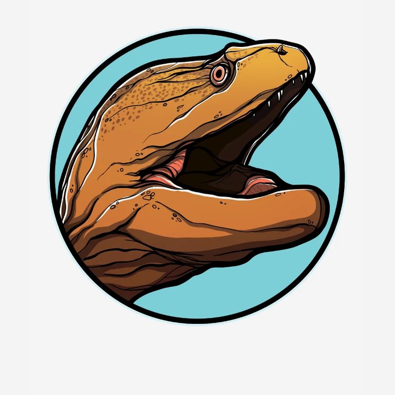 Moray eels Moray eel