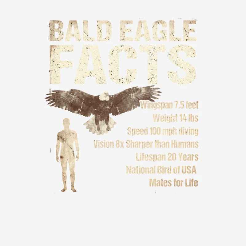 Bald Eagle Facts Bald Eagle Info