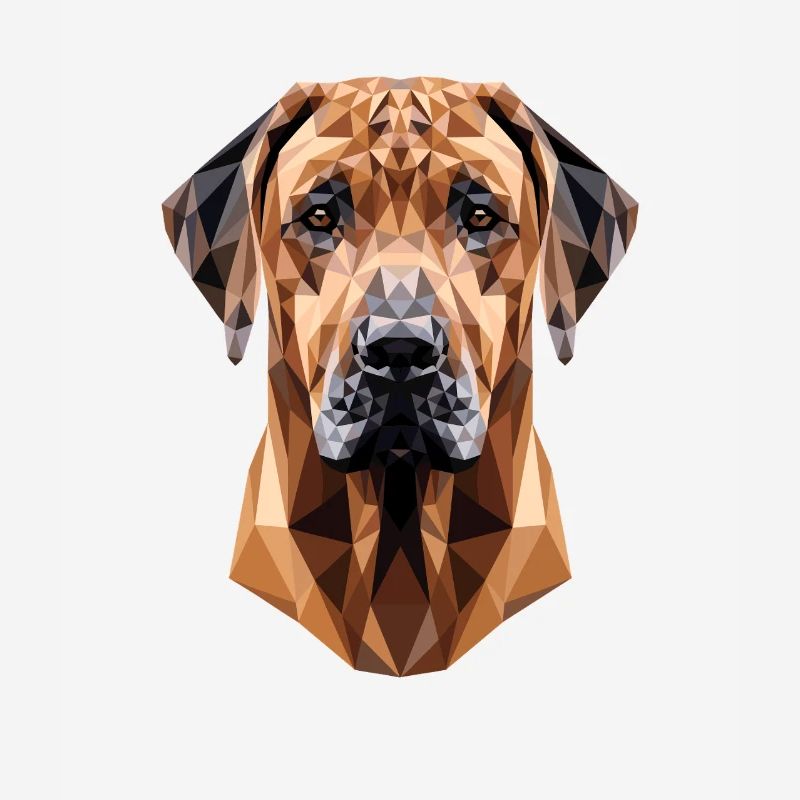 Chiens de chasse Rhodesian Ridgeback Pride Ridgeback