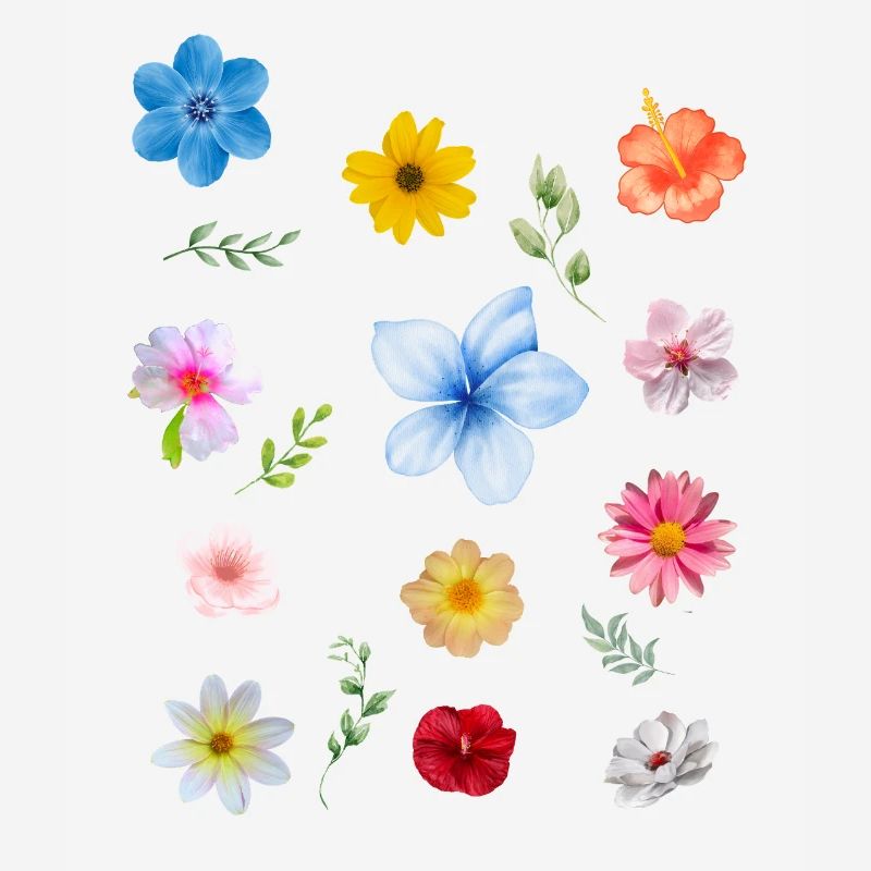 Spring is Coming