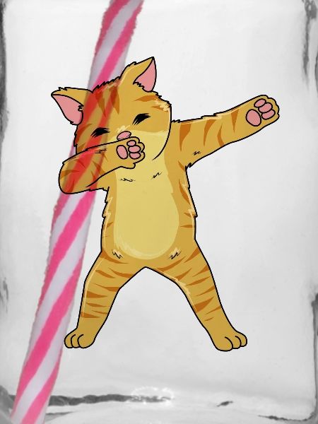 Tabby Katze