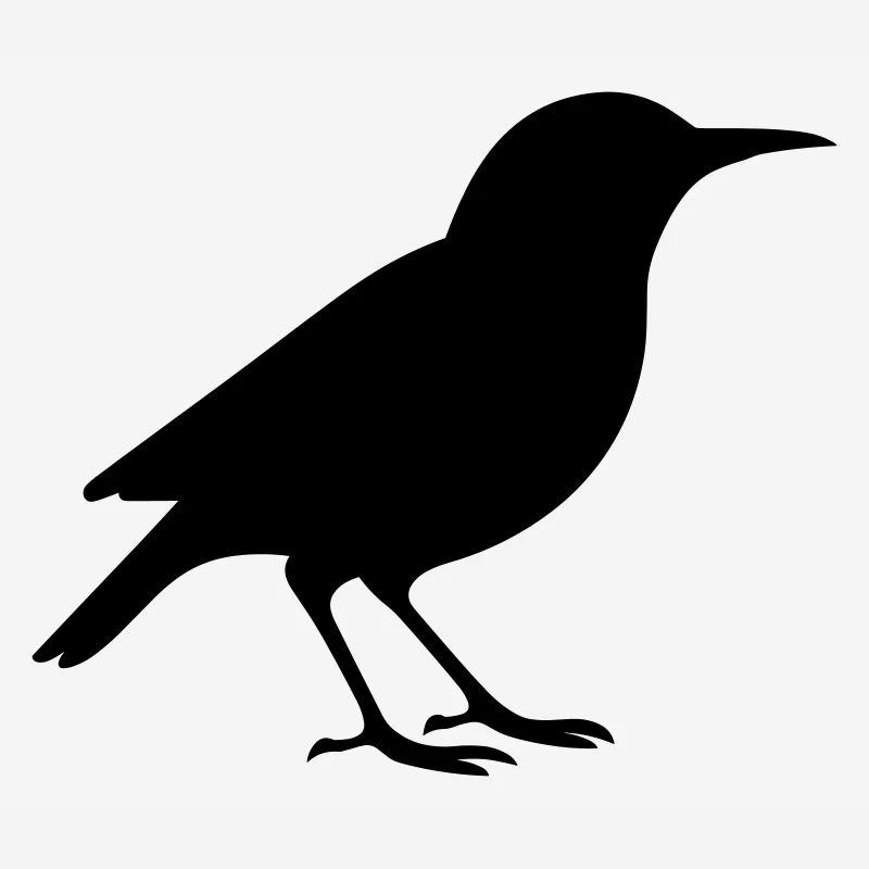 Oiseau
