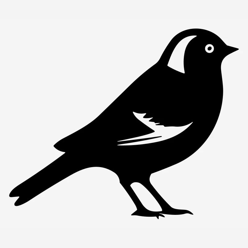Oiseau