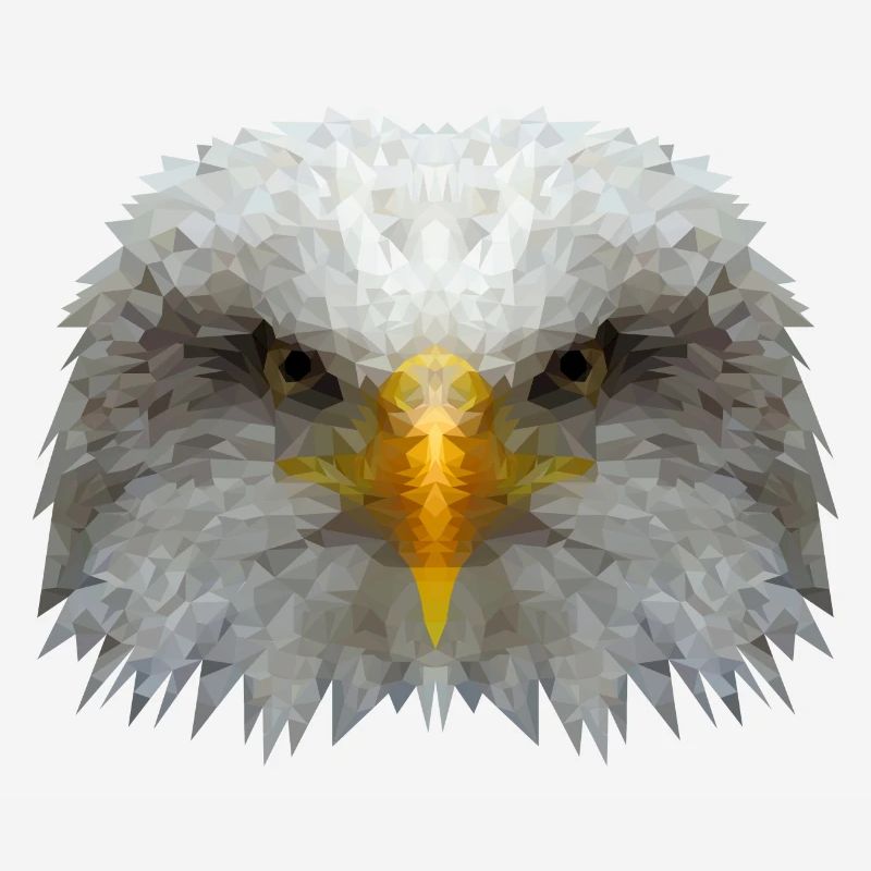 Polygone d’aigle