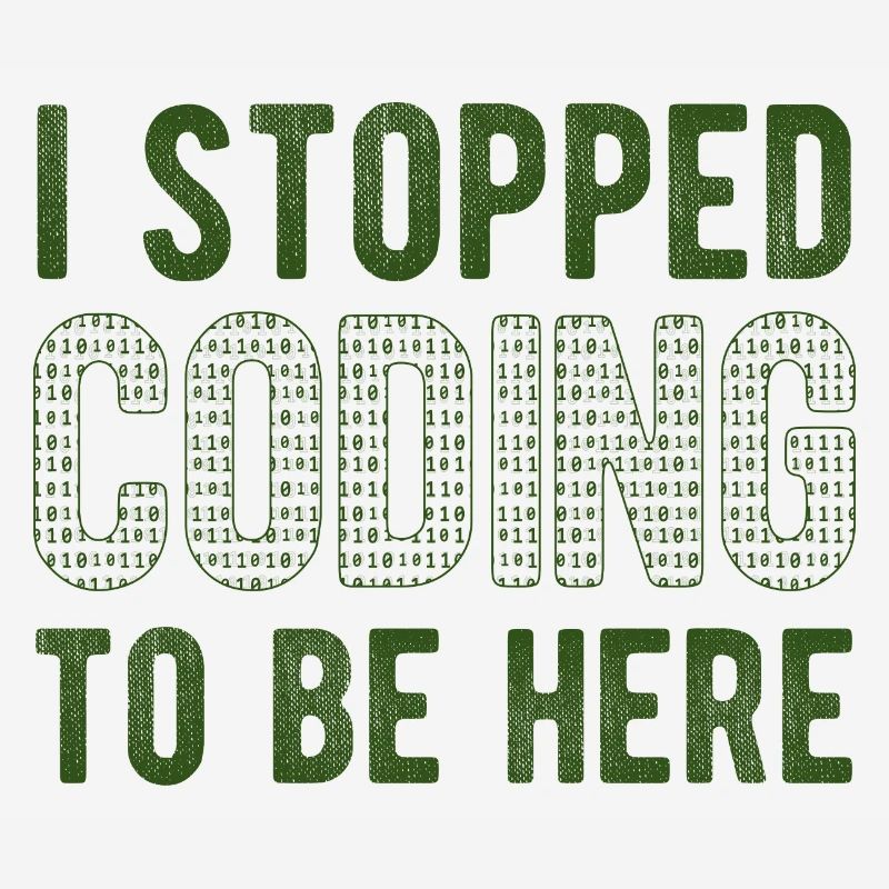 Software Ingenieur Informatiker Programmierer