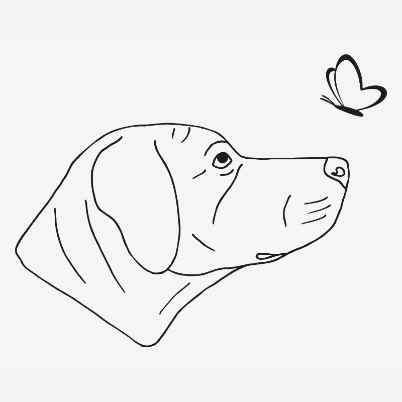 Rhodesian Ridgeback mit Schmetterling