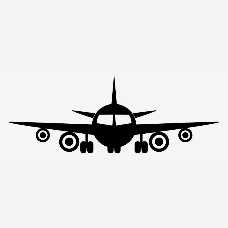 Fly a plane