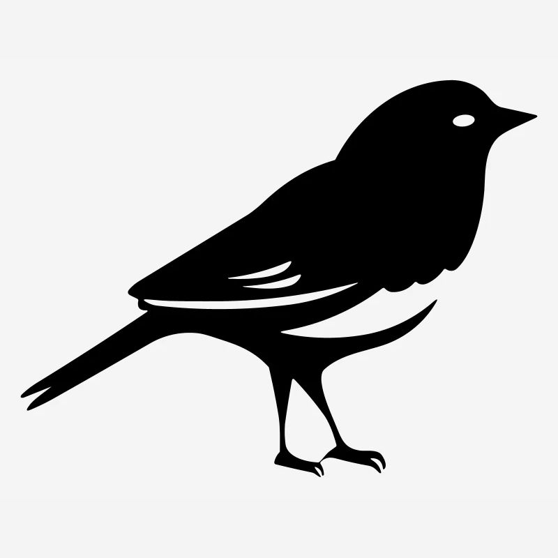Oiseau