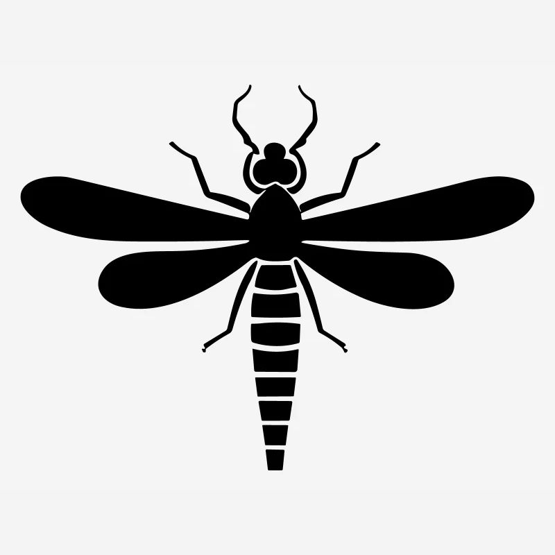 Libellule