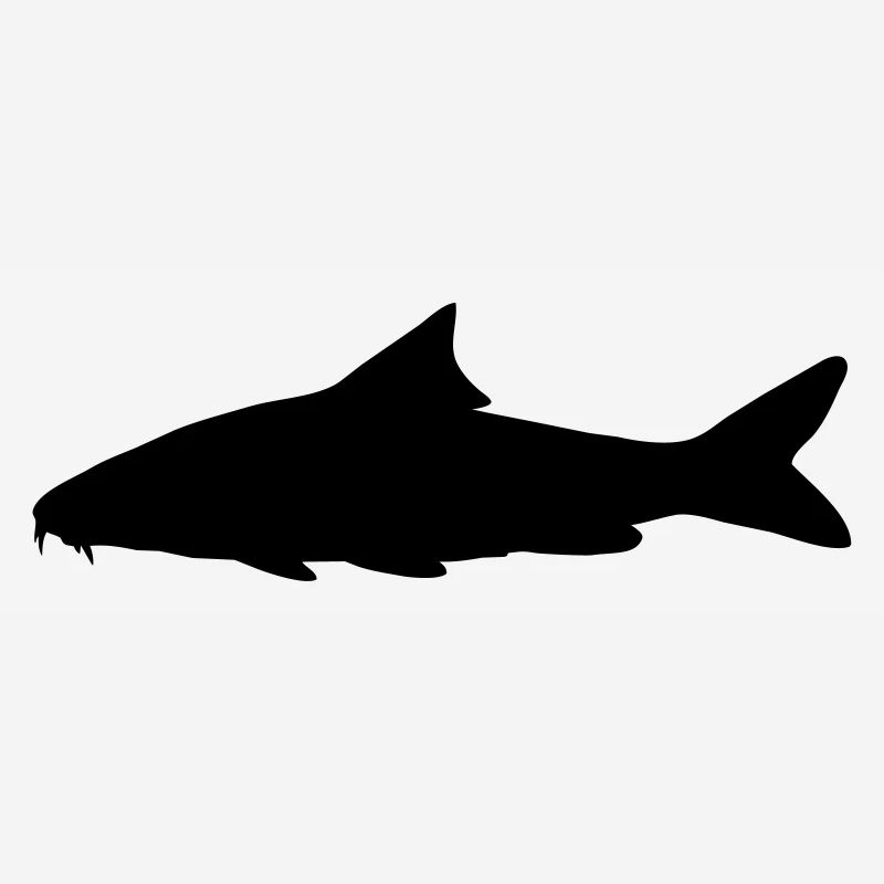 Fisch-Silhouette Barbe