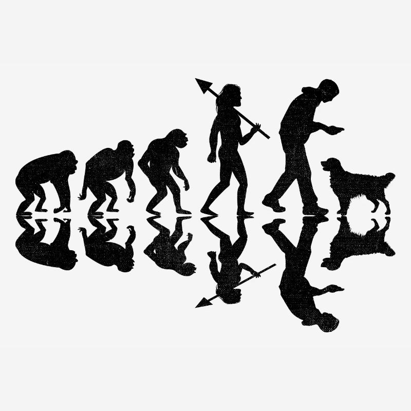 Evolution Golden Retriever GR Dog Retrievers