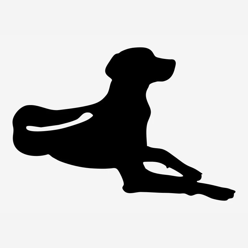 Rhodesian Ridgeback - liegend