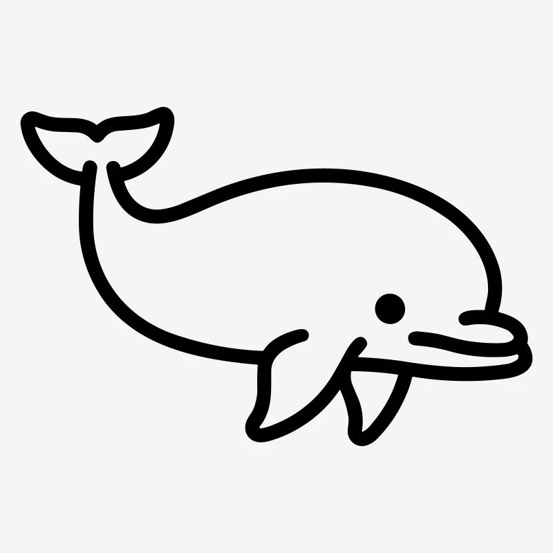 dolphin