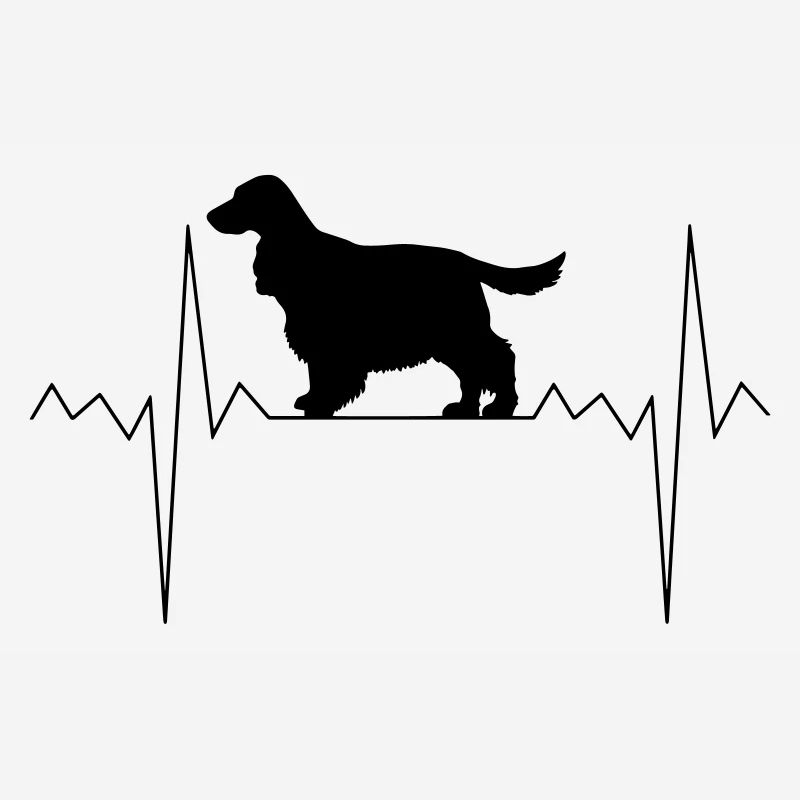 Herzschlag Herzfrequenz Cocker Spaniel