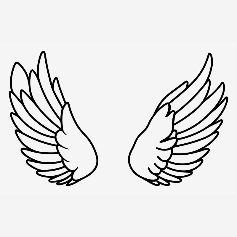 Ailes d'ange