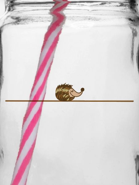 schlafender Igel