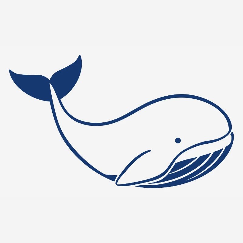 Bébé baleine