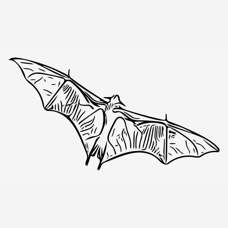 Fruit bat bat - vector style
