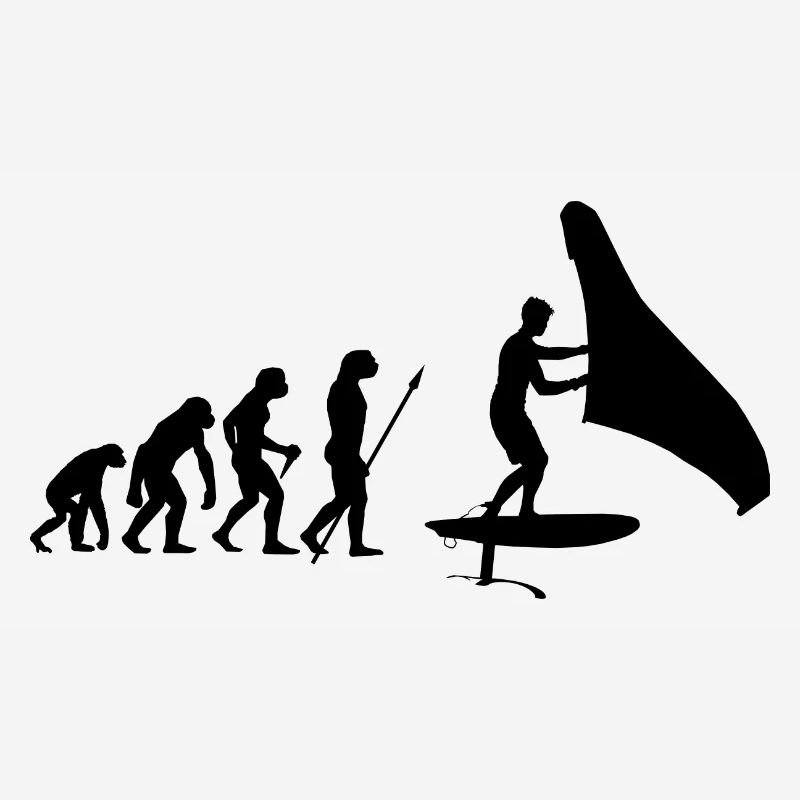 Hydrofoil Wingfoil Evolution Foil Wing Wingfoiling