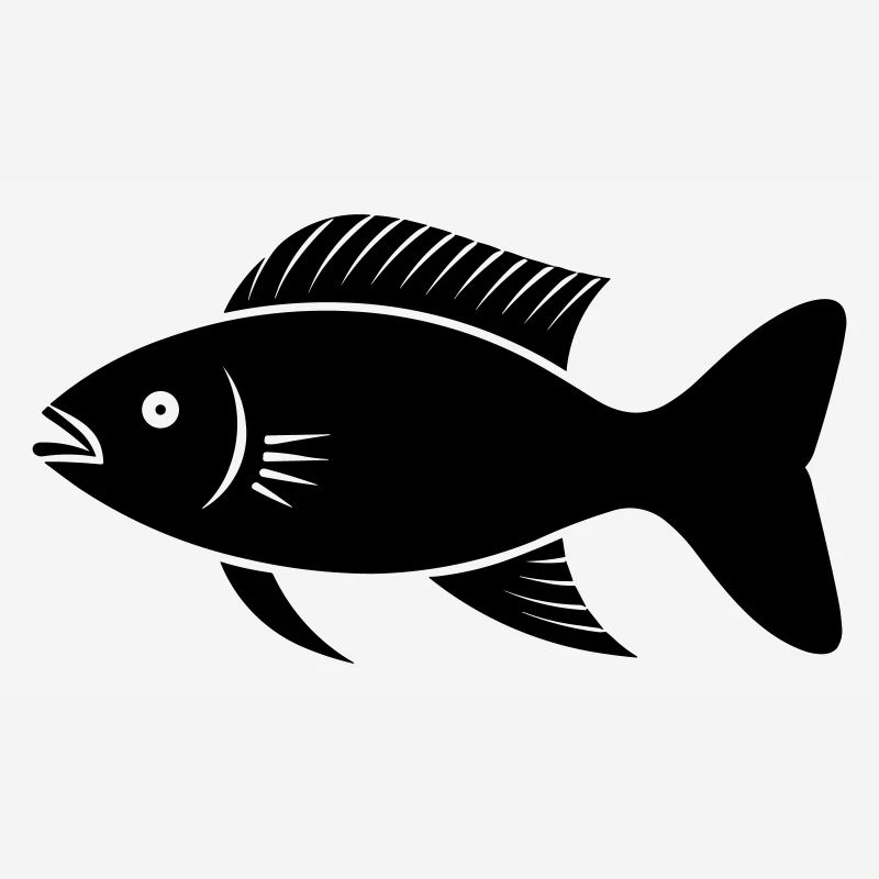 Poisson petite carpe