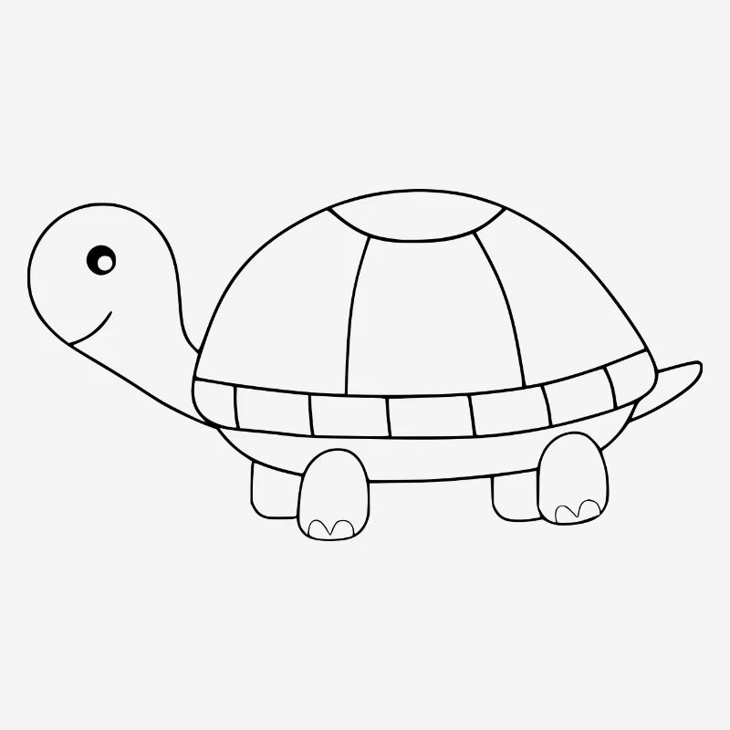 Turtle Turtles