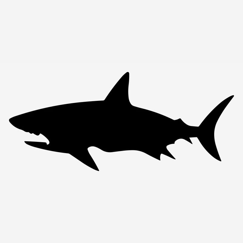 Requin
