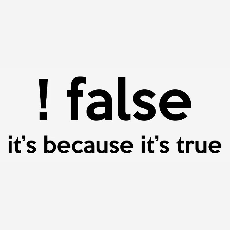 False It's Funny Because It's True Programmer Comp