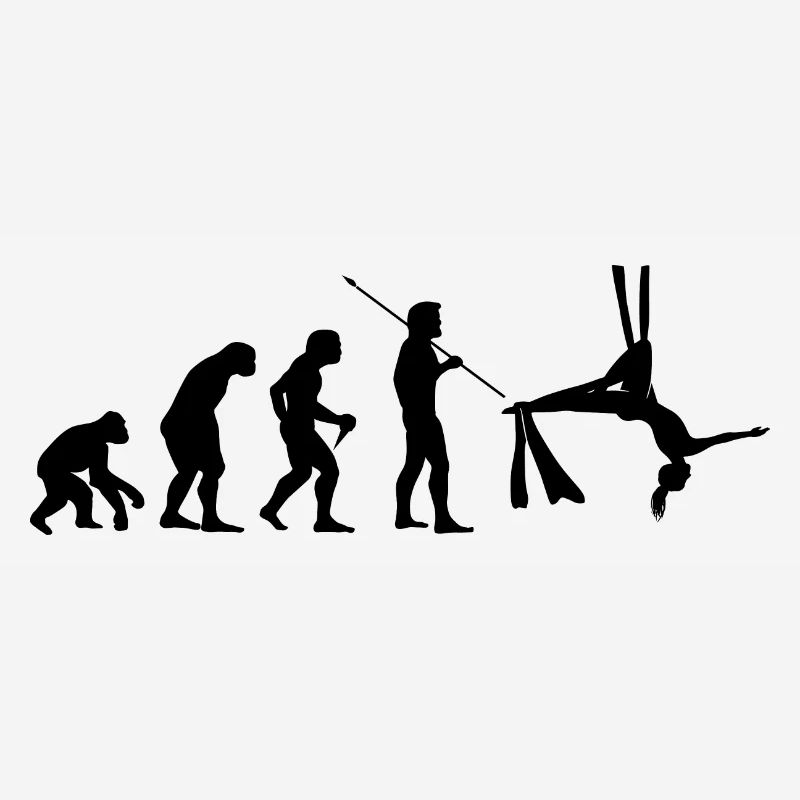 Evolution Graphic Gymnast Gymnastics Acrobat Acrob