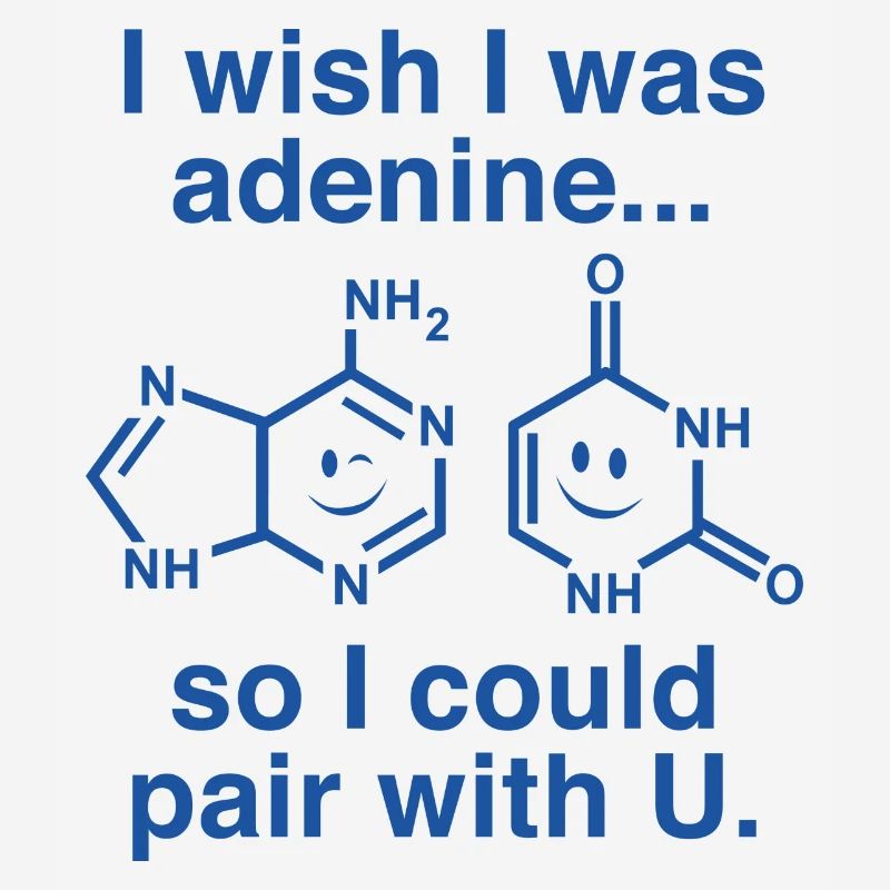 I Wish I Was Adenine
