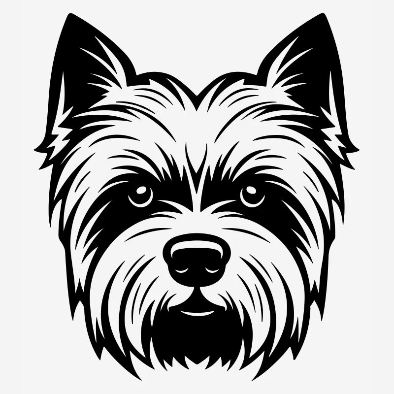 Yorkshire Terrier Hund Kopf