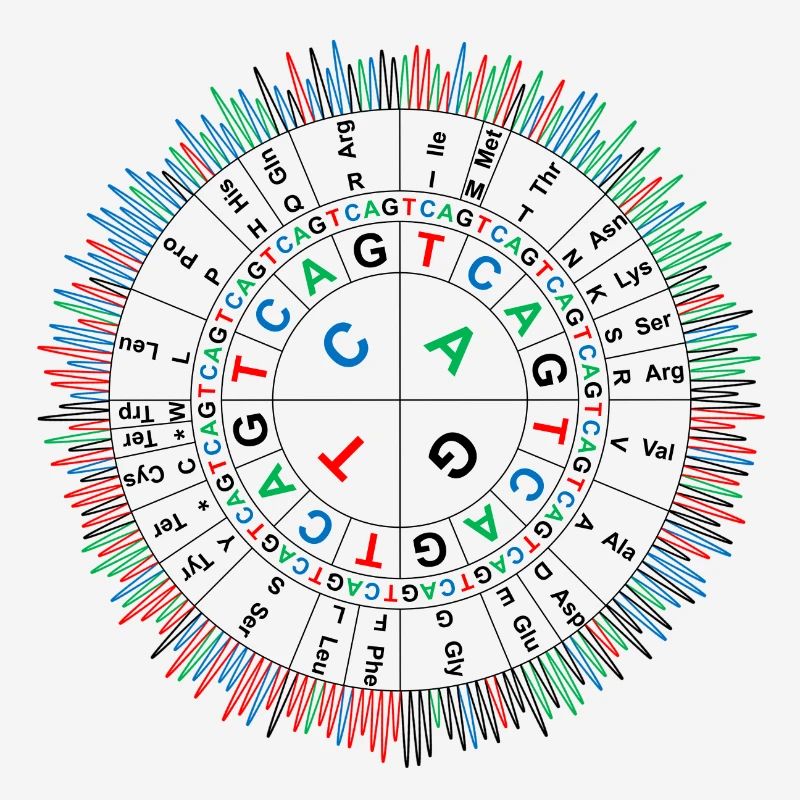 Sanger Codon Circle