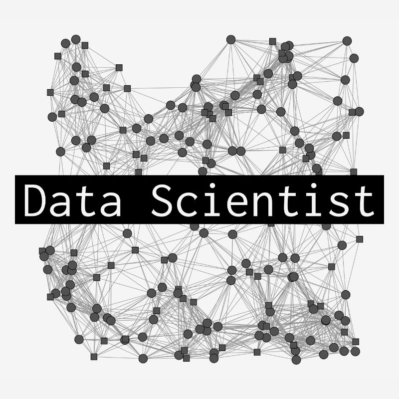 Data scientist