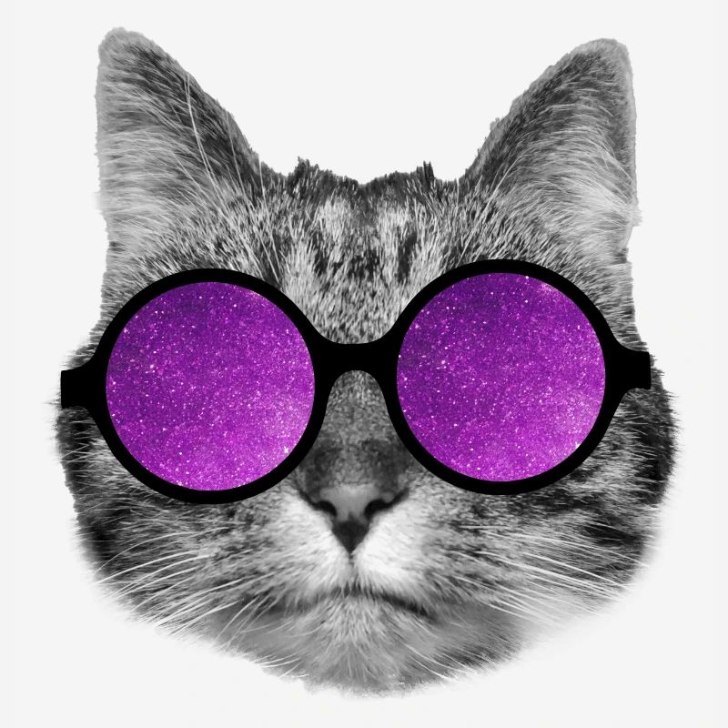 Chat de l’espace