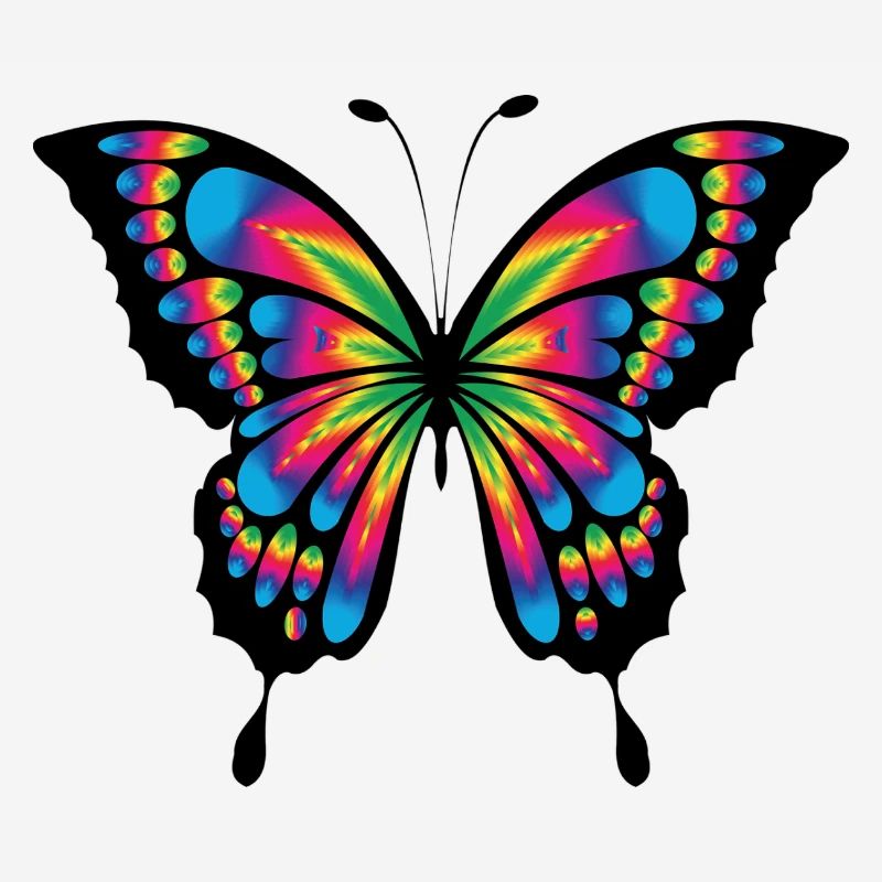 multicolore papillon psychédélique
